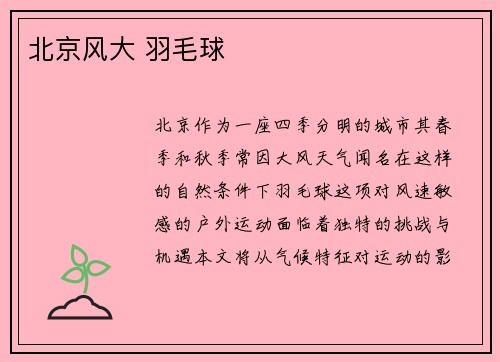 北京风大 羽毛球
