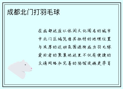 成都北门打羽毛球